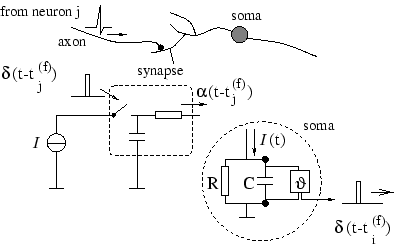 Leaky Integrate and Fire model