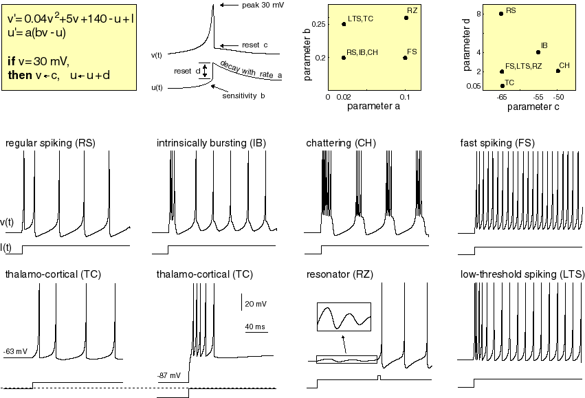 Simple model on spiking neuron