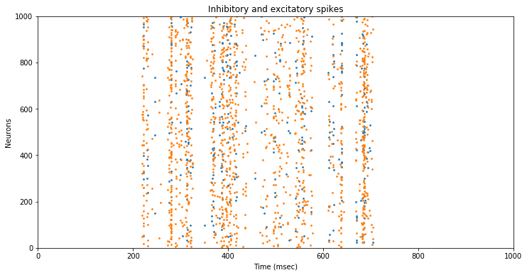 Inhibitory and Excitatory spikes